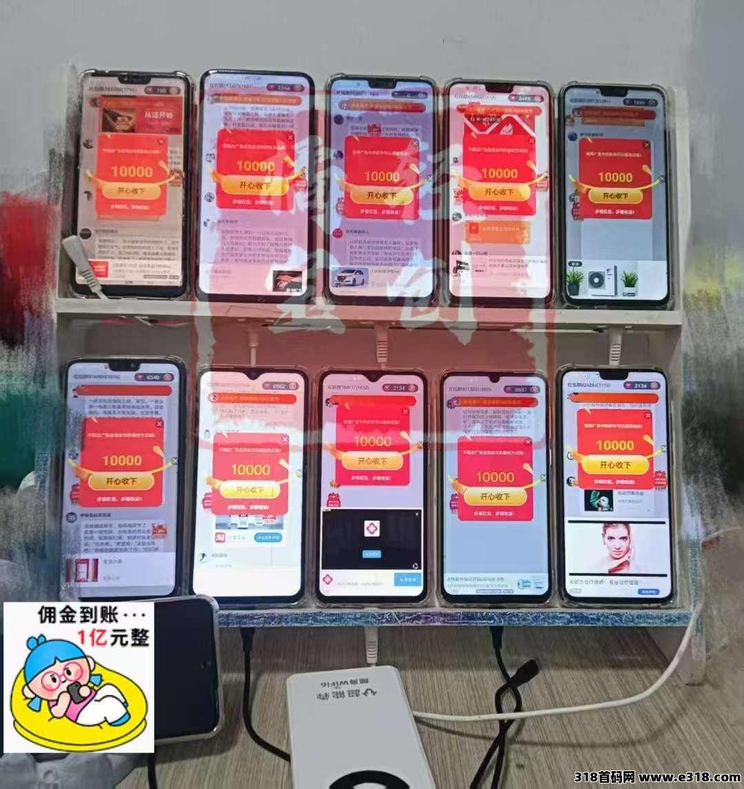 首码古董猫刚出，对接团队长