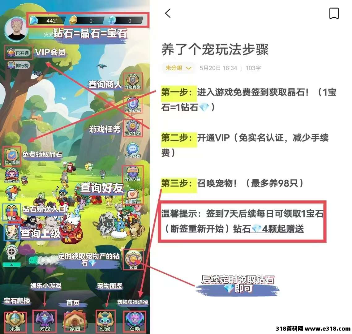 首码养了个宠，高扶持对接团队
