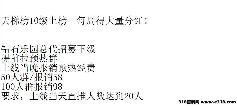 《钻石乐园》首码对接团队长，第一批