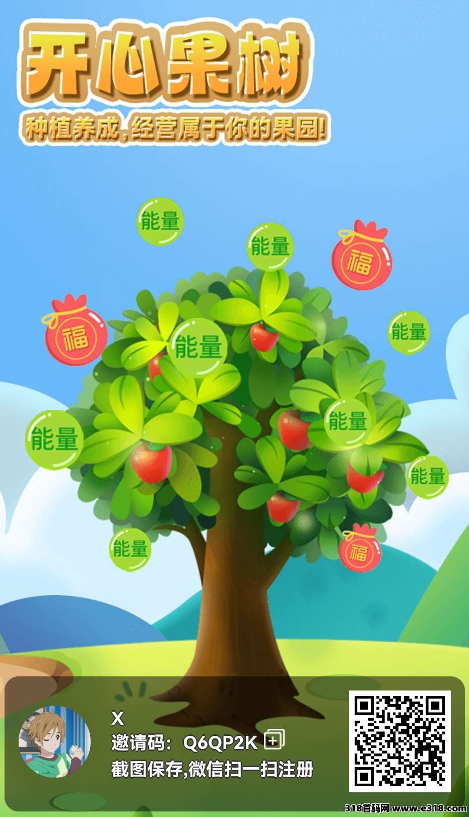 开心果树，首码已出，好项目值得拥有