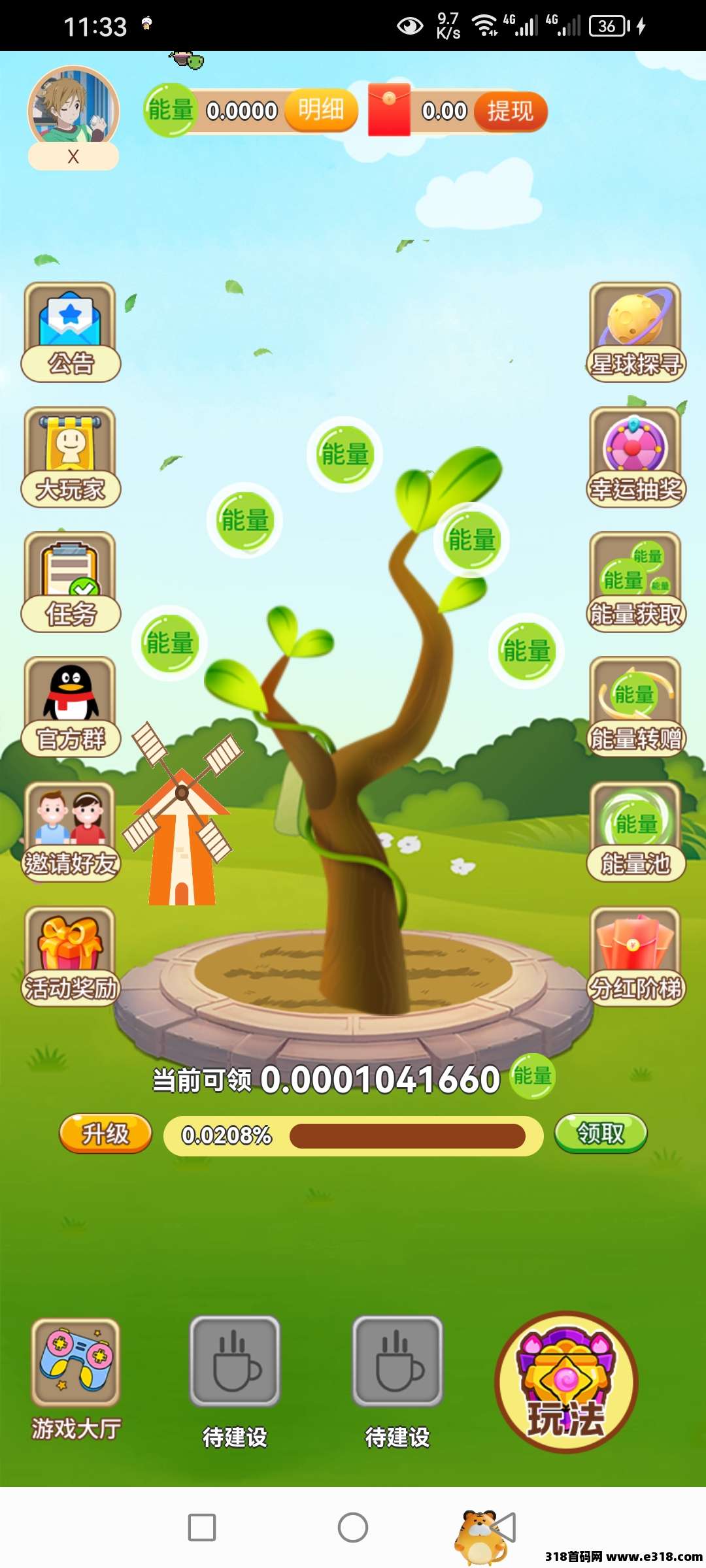 开心果树，首码已出，好项目值得拥有